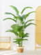 Nordic Artificial Plant Areca Palm Living Room Bonsai Large Fake Green Plant Decoration Monstera Indoor Floor-Standing Ornament