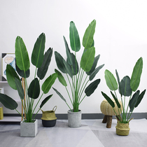 Nordic ins plant simulation loose tail sunflower leaf banyan tail sunflower large decoration ground green plant indoor fake bonsai