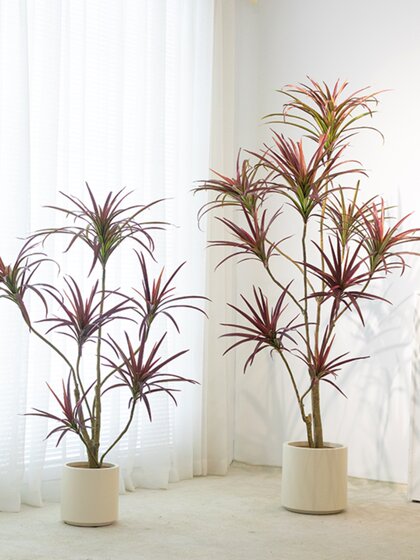 Nordic ins Style Artificial Green Plant Dragon Blood Tree Millennium Tree Fake Green Plant Potted Multi-Head Indoor Floor Decoration for Living Room