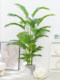 Nordic Artificial Plant Areca Palm Living Room Bonsai Large Fake Green Plant Decoration Monstera Indoor Floor-Standing Ornament