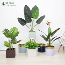 Nordic minimalist iron art flower pot flower shelf living-room metal floral simulation plant large flower pot landing style green roe green plant
