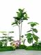 Simulated Green Plants for Landscaping, Indoor Landscaping, Window Display Scene Layout, Moss, Artificial Plants for Decoration, Fake Trees under Stairs