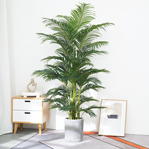 Nordic Emulation Plant Loose Tail Sunflower Living Room Bonsai Large Fake Green Planting Decorative Tortoise Back Bamboo Indoor Floor Pendulum