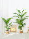 Nordic Artificial Plant Areca Palm Living Room Bonsai Large Fake Green Plant Decoration Monstera Indoor Floor-Standing Ornament