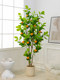 Simulated Green Plant Orange Tree, High-End Light Luxury Artificial Plant, Indoor Living Room Large Floor-Standing Potted Decoration, Biomimetic