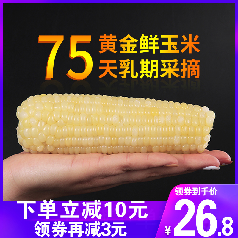l Li minus 13 yuan] Lu Yin sweet waxy small corn cob fresh waxy corn sticky sticky now pick vacuum non-northeast 8 bars