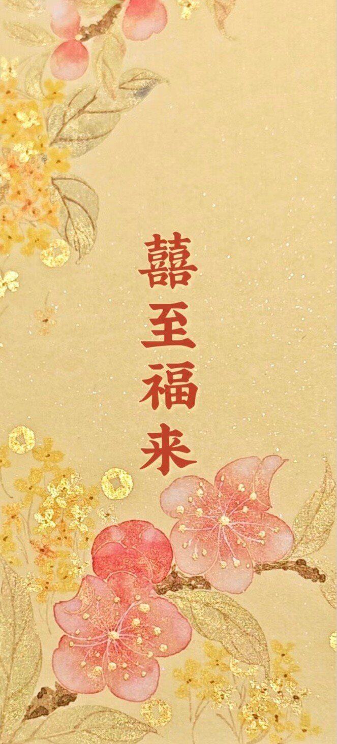 小丁松口袜内衣