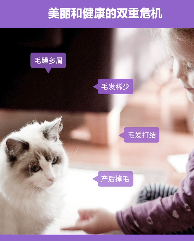 Wei Shi công thức mèo đặc biệt làm đẹp chăm sóc da lông sáng tóc hạt lecithin sáng 180g bảo vệ mèo mềm phospholipid - Cat / Dog Health bổ sung