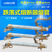 NCX-12F 100-200 Outdoor High Voltage 10KV Fuse Drop Fuse Zero Laker Switch Fuse