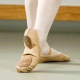 Sansha French Sanzhha Ballet Dance Shoes Dance Shoes Kids's Elastic Practice Soft Shoes Gymnastic Cat Claw Shoes M055C