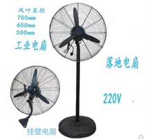 Powerful industrial electric fan March Wind floor fan 650mm750mm floor fan
