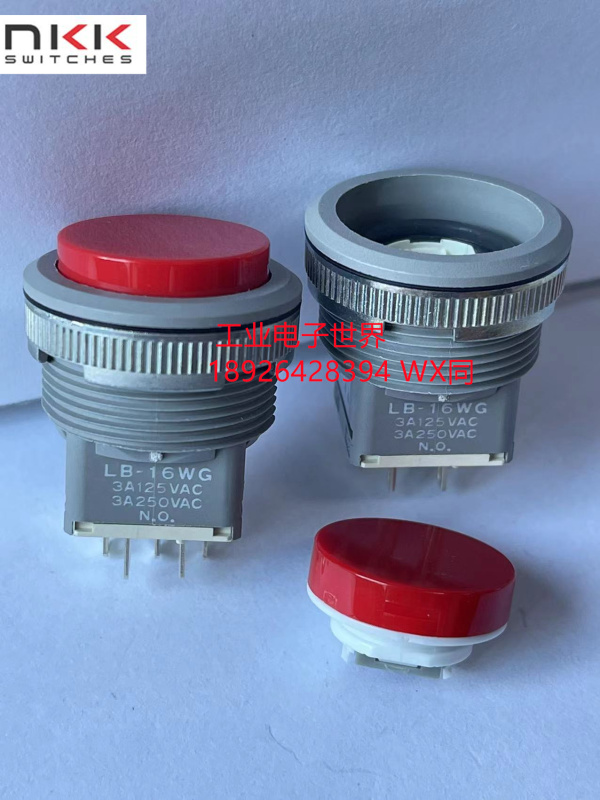 Lb-16Wg Japanese Nkk Panel Sealed Button Switch Lb16Wgw01-Cj On-On Cap Color Optional Lb-16Wg Japanese Nkk Panel Sealed Button Switch Lb16Wgw01-Cj On-On Cap Color Optional