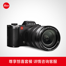 профессиональная цифровая SLR камера компания Leica/Leica