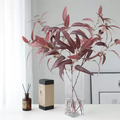 Nordic imported natural dried flowers fake flowers eucalyptus with fruit eucalyptus leaves light luxury window model room simulation flower decoration