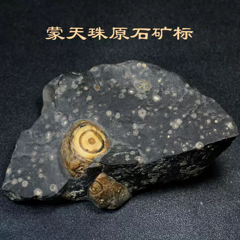 蒙天珠原石矿标九眼石页岩天眼石观赏摆件茶桌用