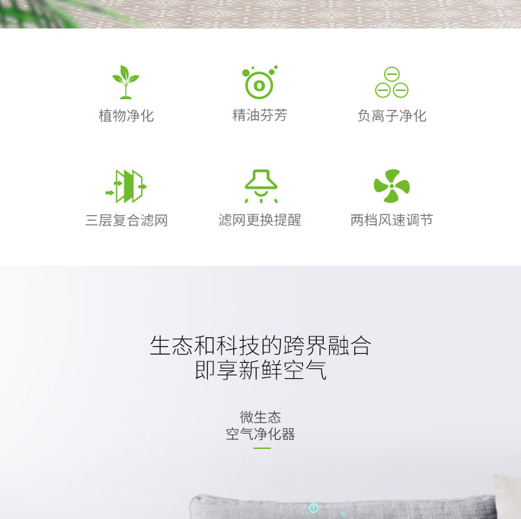净化器绿植-恢复的_02.jpg