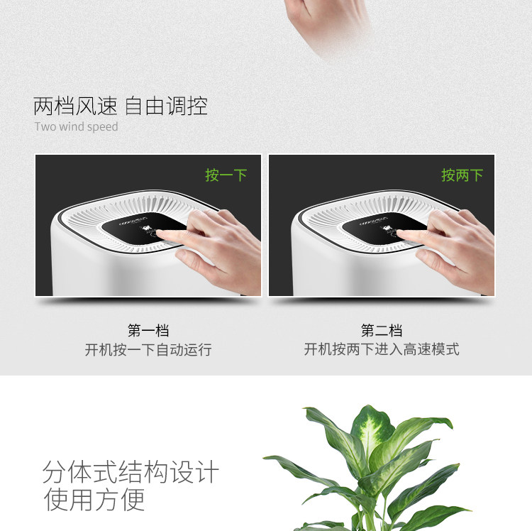 净化器绿植-恢复的_15.jpg