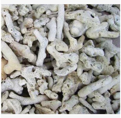 Coral Sand Coral Sand Coral Stone Filter Material Coral Bone Stable Water Quality PH Natural Base Sand 5 Cati