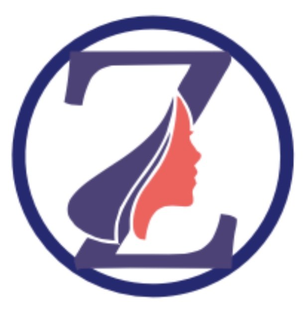 挚诚网络有限公司的LOGO