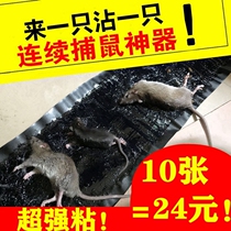 Big mouse paste strong sticky Mouse magic carpet artifact grabbing mouse trap medicine mousetrap household sticky mouse glue rat super large