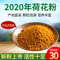 Fresh lotus powder 2023 edible pure natural bee pollen farm-produced lotus pure powder for women 500g