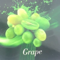 VG50G Виноград