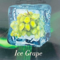 VG50G ICE Grape