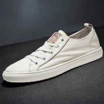 2022 new sloth people a foot pedal spring fall breathable plate shoes genuine leather small white shoes mens wave shoes youth casual shoes