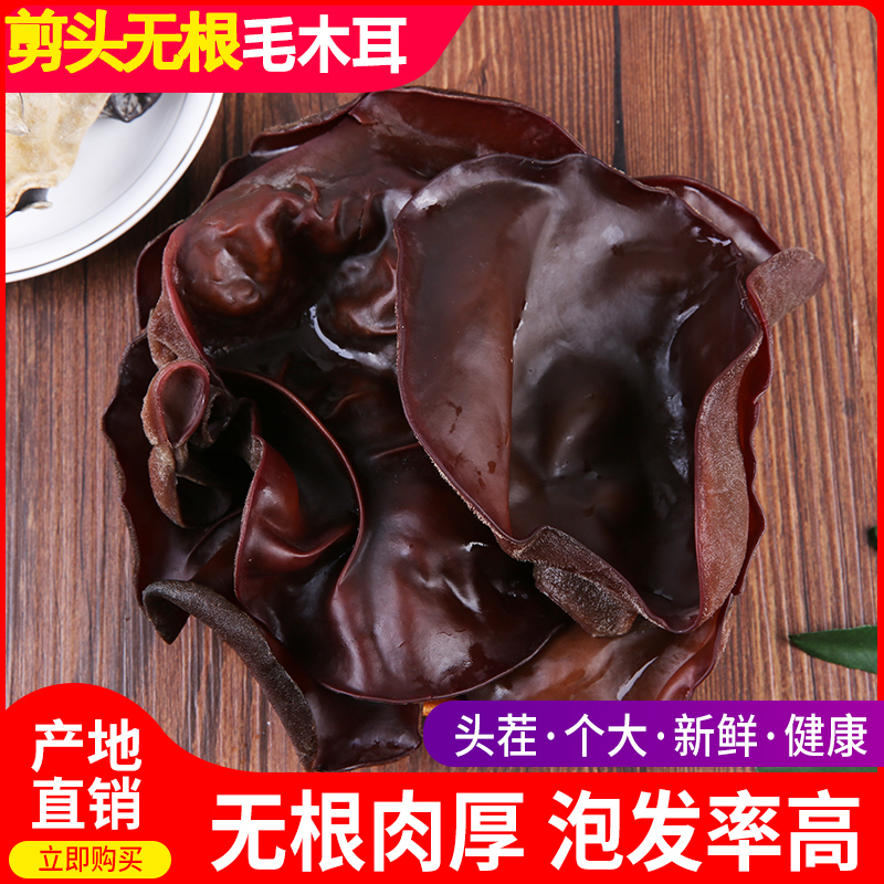 Rootless white-backed fungus bulk dry goods 500g Northeast specialty wild big black fungus crispy thick hot pot fungus - Taobao