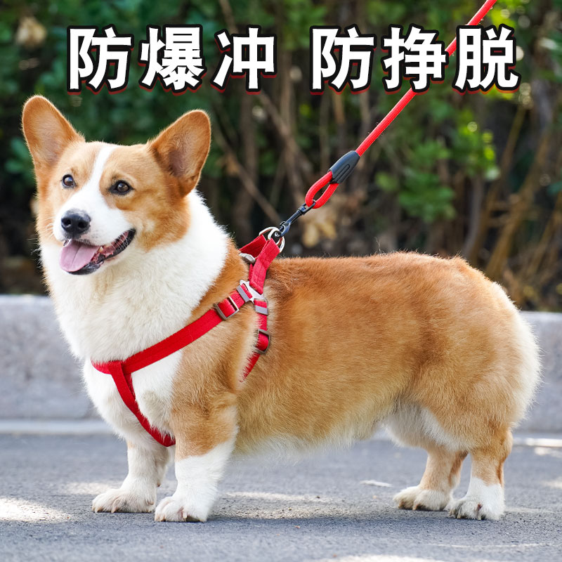 Breast Strap Golden Hair Kirky Dog Chain Son Walk Dog Dog Traction Rope Large Canine Labrador Neck Ring Type Neckline-Taobao