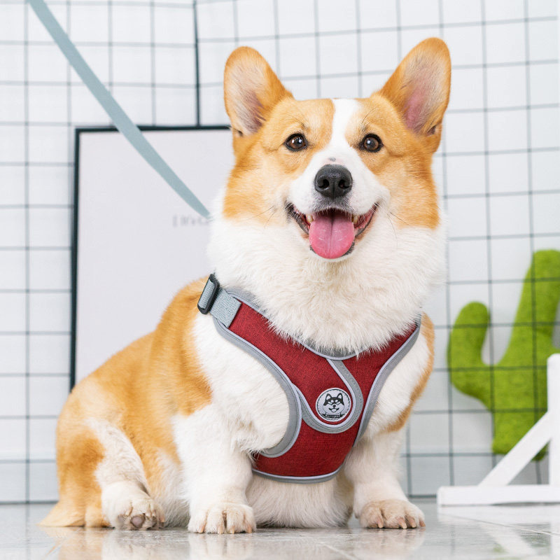 Dog traction rope vest style walking dog rope anti-explosion punching chest holding baby bag kirky dog Medium small canine dog rope traction belt