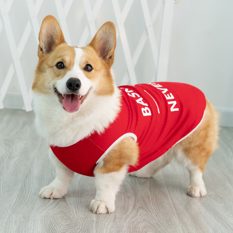 Net red Puppy clothes Summer slim Vest Kokie Small & Medium Dog Pet Supplies Puppies Cat Sunscreen Fou-Taobao