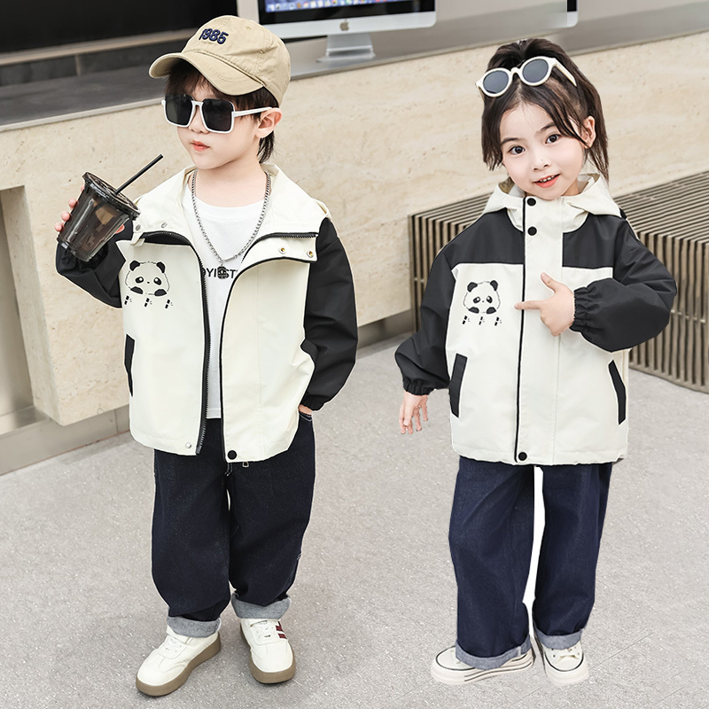 Brother and Sister Outfits for Children, Spring and Autumn Cartoon Panda Jackets for Boys and Girls, Sibling Matching Outfits for Twins, Dragon and Phoenix Twins, Autumn Jackets