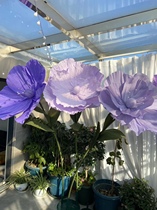 Handmade paper flowers simulated poppies window displays wedding arrangements photography props