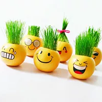 Случайный в горшках 1 (цветовая коробка+семя+почва) подходит для 10 ° ~ 30 °