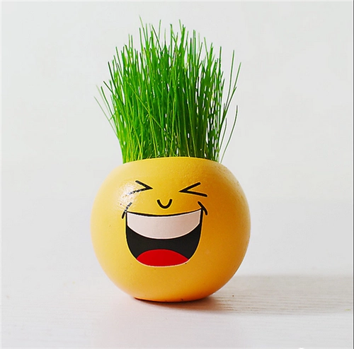 Творческий мини -плата