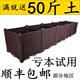 Special balcony planting box household plastic flower pot roof planting pot rectangular vegetable planting artifact planting box new