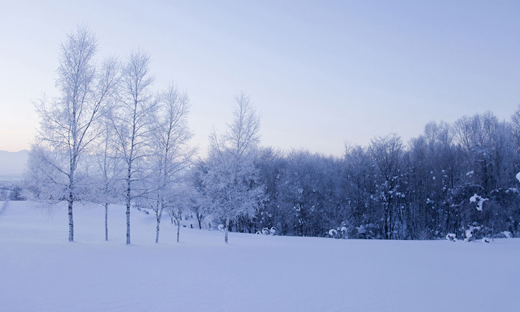 下雪也挡不住钓友的行程,看他们怎么钓的