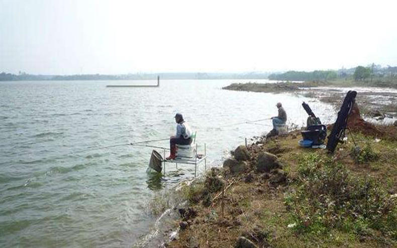 野钓没大鱼怎么办，学会这些小技巧即可12