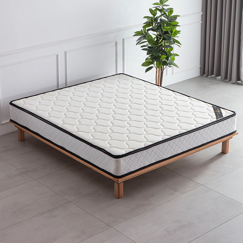 Mattresses for natural coconut palm 1 5m1 8m HOTEL MAT DREAM DOUBLE ECONOMY TYPE HOME SPRING MAT