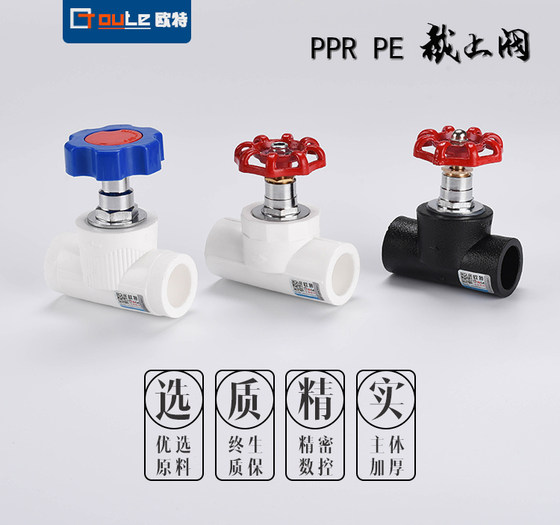 Ppr cut-off valve water pipe switch 4 points 202532 lift type PE valve thickened copper core water stop valve accessories