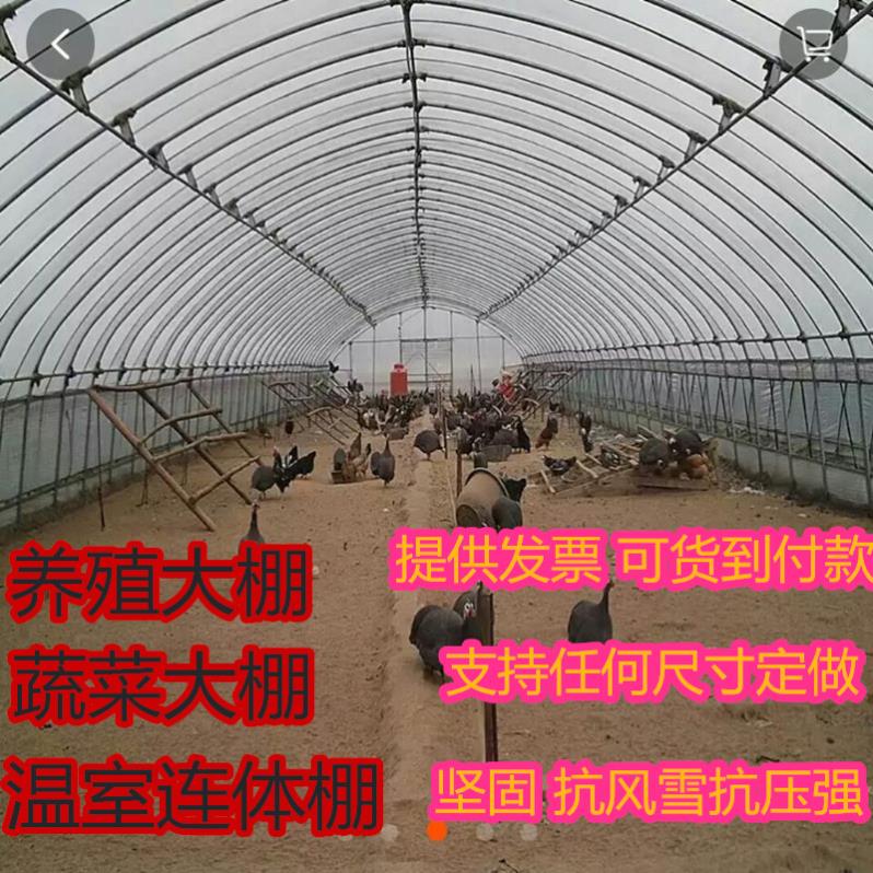 Moisturizing Chicken Farm Shed Hood Portable Large Peng Skeleton Steel Tube Agricultural Greenhouse Accessories Vegetable Shed of Miao Weng Room