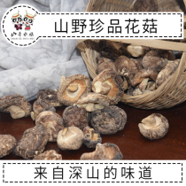 (Mountain Gothic Sister) Wenxian Flower Mushrooms Linden Wood Farmhouse Flower Mushrooms 250g Dry goods