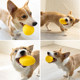 Yite Pet Dog Toy Ball Bite-Resistant Training Golden Retriever Teddy Teething Stick Puppy Pet Supplies Toy Bouncy Ball