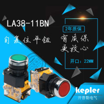 Silver point LA38-11BN self-reset flat head button jog switch opening 22mm yellow green Red self-locking