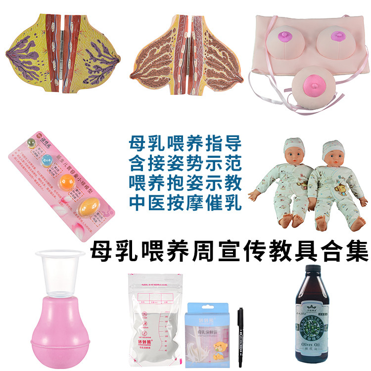 全国母乳喂养日母乳喂养宣传指导教具教学模型 哺乳示范道具教具