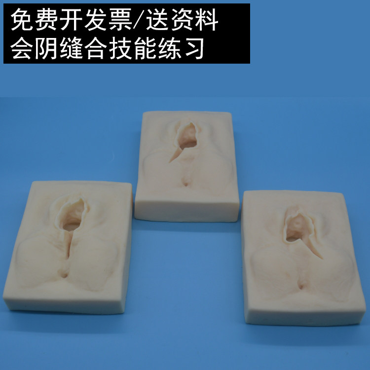 产科护士技能实操练习女性会阴缝合模块 会阴侧切缝合练习模型