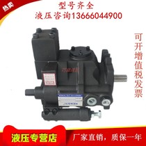 V15A1R A2R A3R A4RX-95 J-V15A1R A2R A3R A4RX Taiwan hengyi piston pump