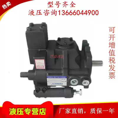 V15A1R A2R A3R A4RX-95 J-V15A1R A2R A3R A4RX Taiwan HENGYI piston pump