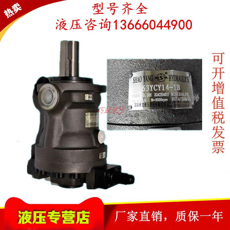 Shaoyang Vic hydraulic SY-10 25 32 40 63 80 100 125YCY14-1E B axial piston pump